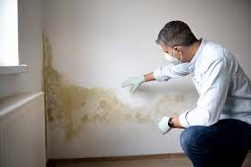 Why You Should Choose Our Mold Remediation Services in George, IA